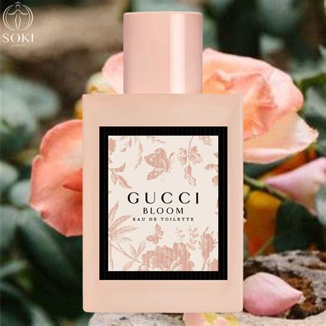 gucci envy myer|gucci bloom fragrance.